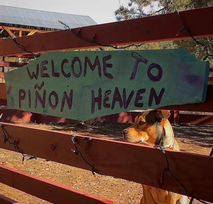 Bed and Breakfast Pet Friendly Pinon Heaven Canada de los Alamos Exterior foto