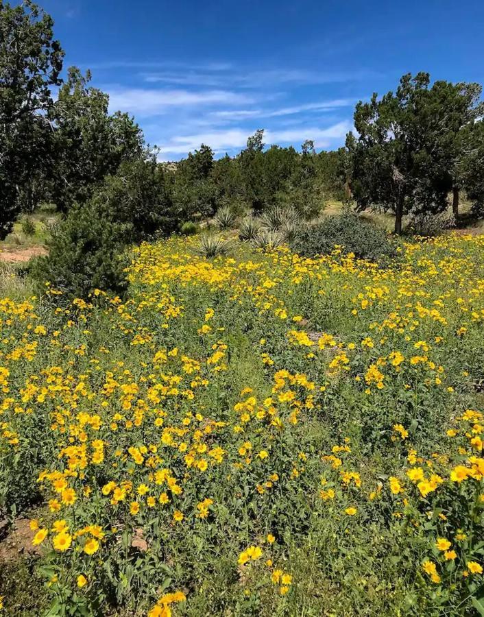 Bed and Breakfast Pet Friendly Pinon Heaven Canada de los Alamos Exterior foto